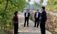 山东章丘农商银行紧抓振兴根基 促进产业融合发展