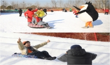 乐成集团冬日冰雪