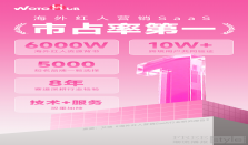 行业权威认证，WotoHub海外红人营销SaaS市占率第一